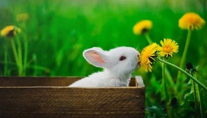 微笑是一种修养